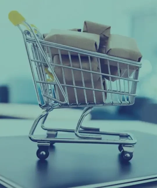 Mohamed Ali Blaiti : Consultant e-commerce en Tunisie